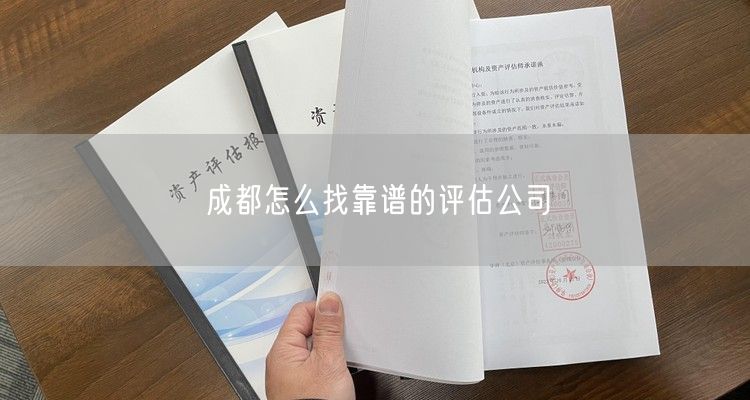 成都公司股权变更资产评估