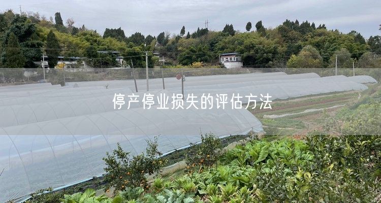 停产停业损失的评估方法