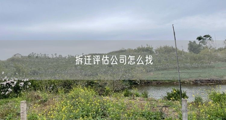 拆迁评估公司怎么找