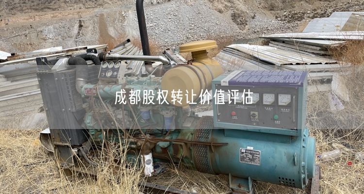 成都股权转让价值评估