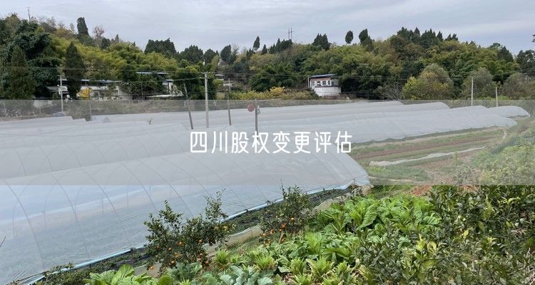 四川股权变更评估