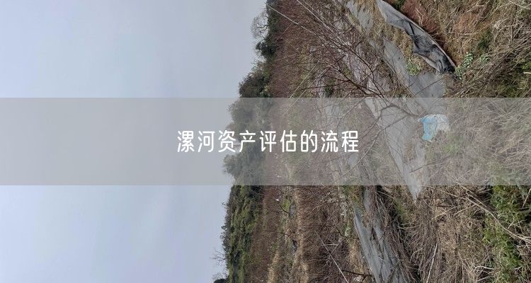 漯河资产评估的流程
