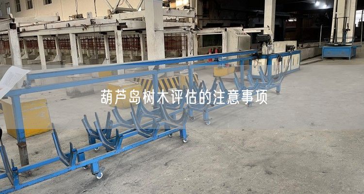 葫芦岛树木评估的注意事项