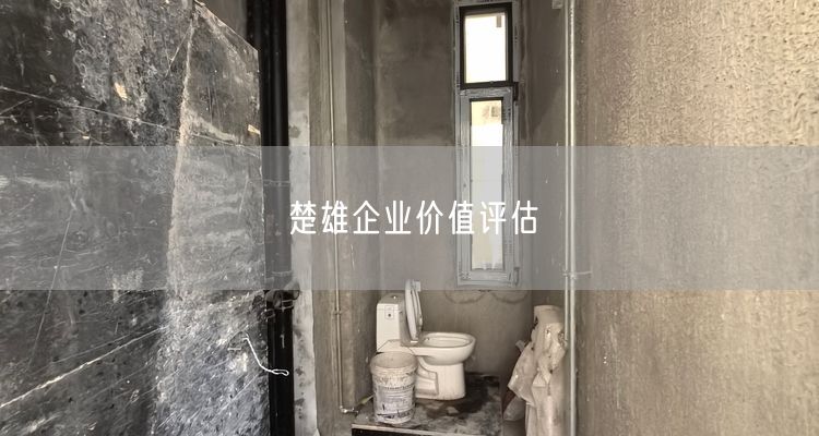 楚雄企业价值评估