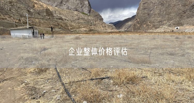 企业整体价格评估