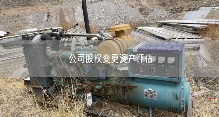 公司股权变更资产评估