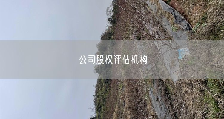 公司股权评估机构