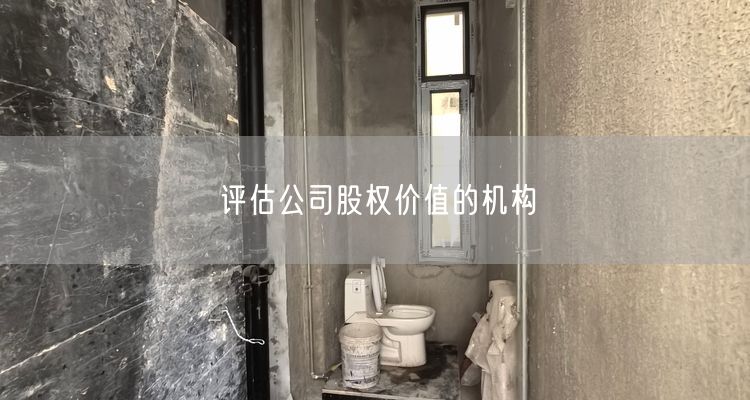 评估公司股权价值的机构
