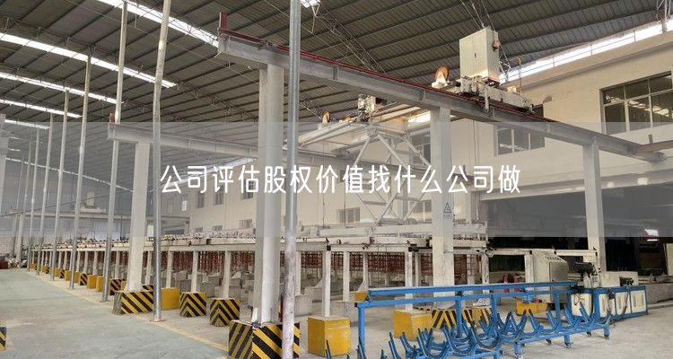 公司评估股权价值找什么公司做