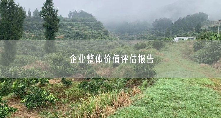 企业整体价值评估报告