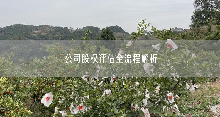 公司股权评估全流程解析
