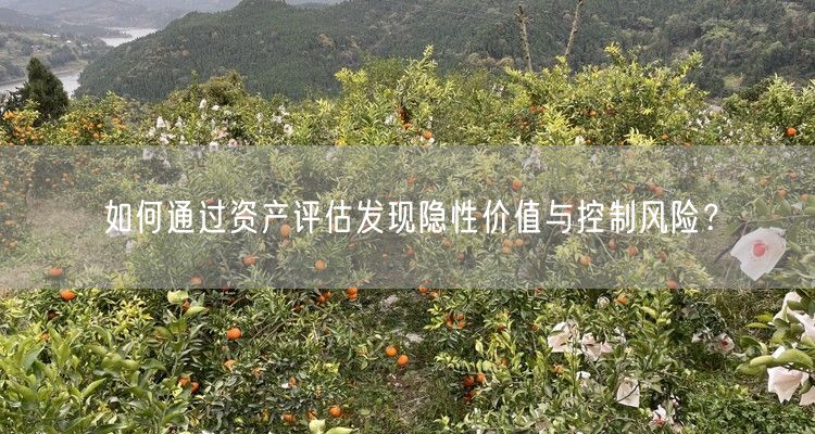 如何通过资产评估发现隐性价值与控制风险？