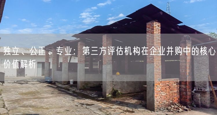 独立、公正、专业：第三方评估机构在企业并购中的核心价值解析