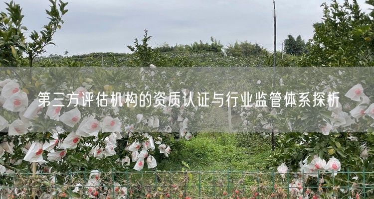 第三方评估机构的资质认证与行业监管体系探析