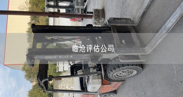 临沧评估公司