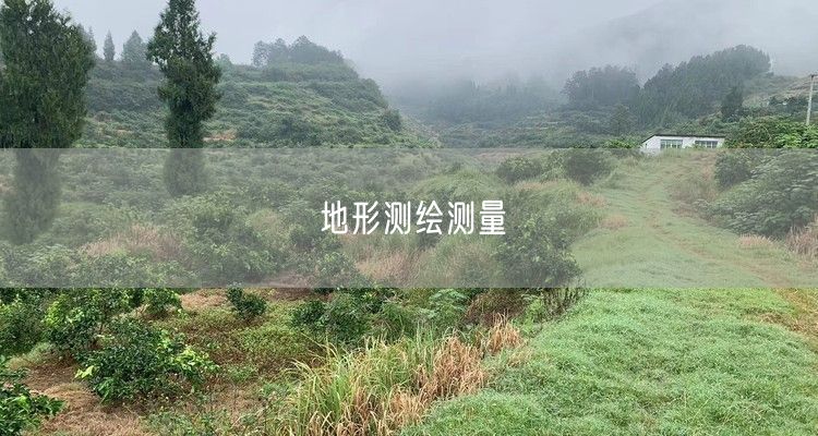 地形测绘测量