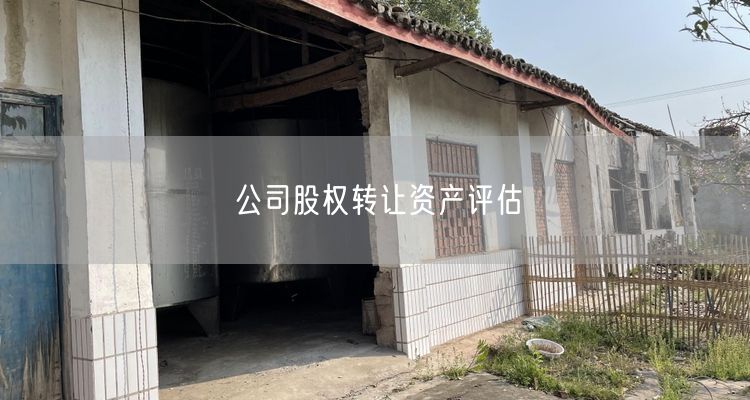 公司股权转让资产评估