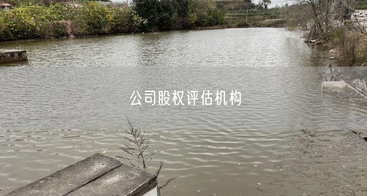 公司股权评估机构