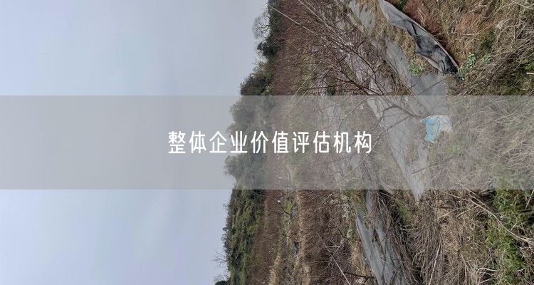 整体企业价值评估机构