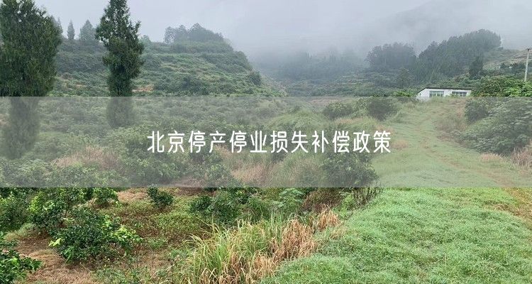 北京停产停业损失补偿政策