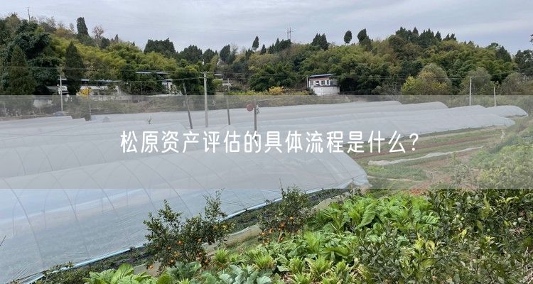 松原资产评估的具体流程是什么?