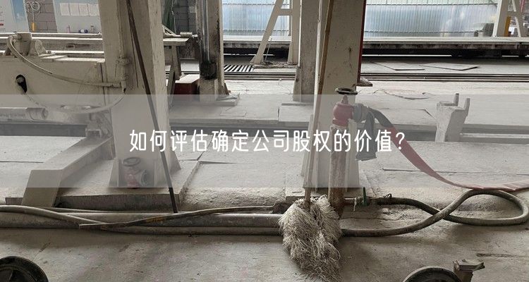 如何评估确定公司股权的价值？