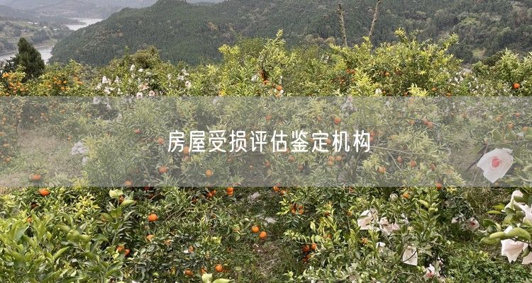 房屋受损评估鉴定机构