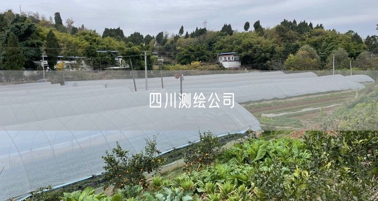 四川测绘公司
