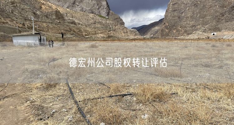 德宏州公司股权转让评估