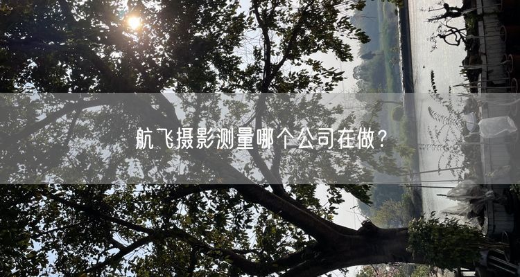 航飞摄影测量哪个公司在做?