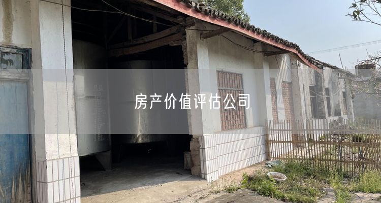 房产价值评估公司