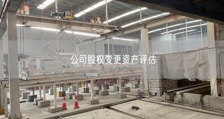 公司股权变更资产评估