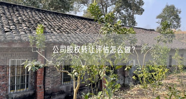 公司股权转让评估怎么做？