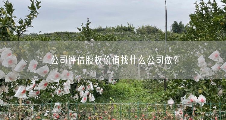 公司评估股权价值找什么公司做？